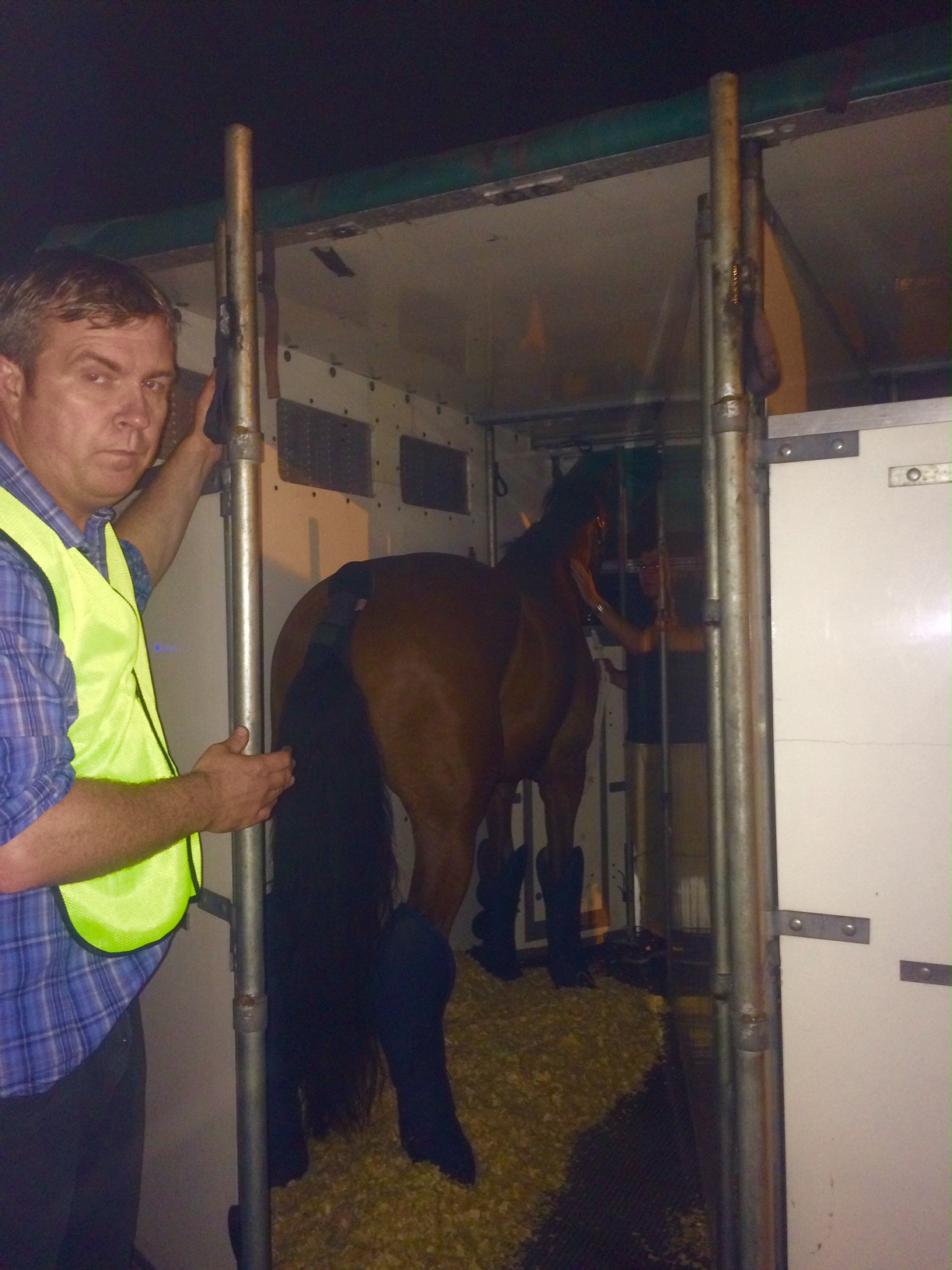 flight grooms with horse in airplane box stall