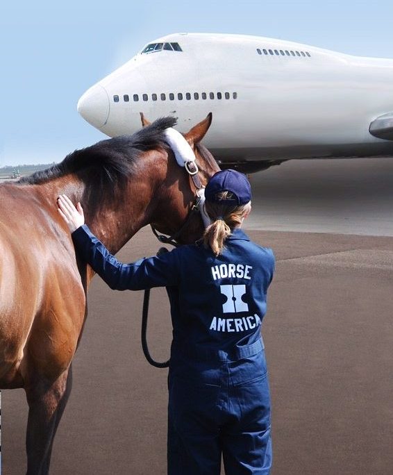 horse america groom with horse and plane