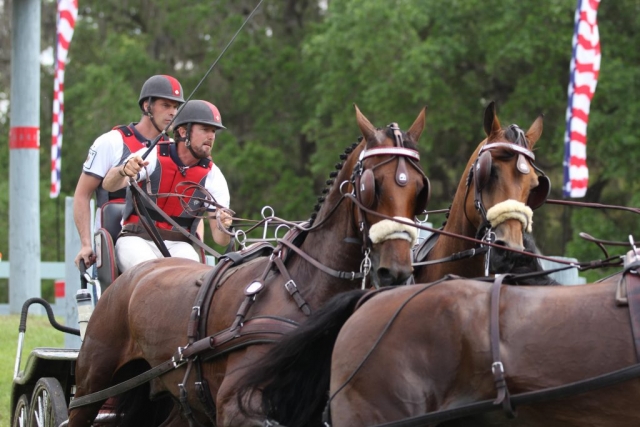 Chester Weber four in hand team at Live Oak